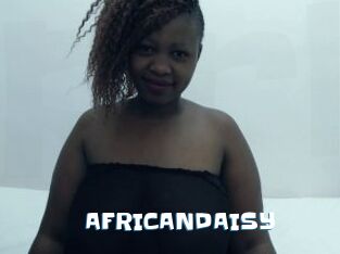 AFRICANDAISY