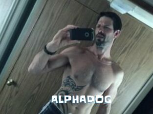 ALPHADOG