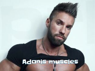 Adonis_muscles