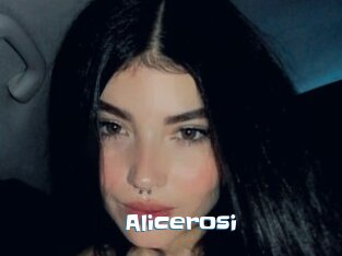 Alicerosi