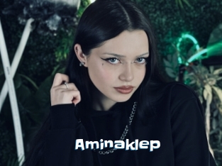 Aminaklep