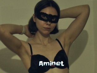 Aminet