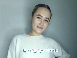 Amitybarris