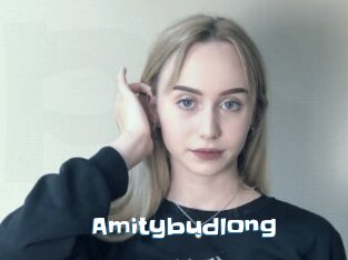 Amitybudlong