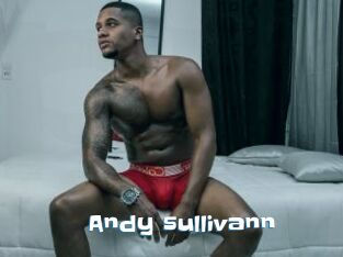 Andy_sullivann