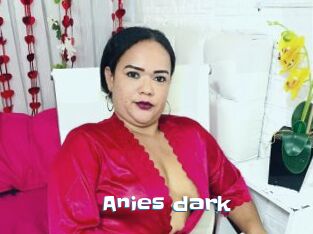 Anies_dark