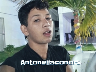 Antonellaconors