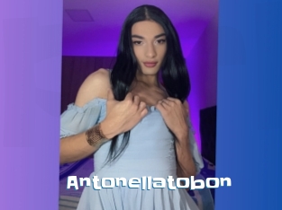 Antonellatobon