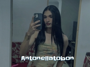 Antonellatobon