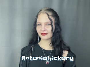 Antoniahickory