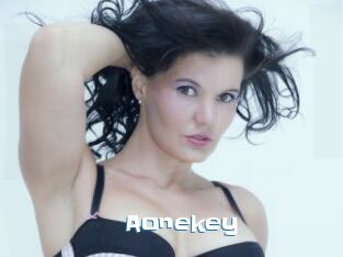 Aonekey