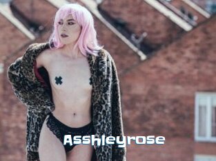 Asshleyrose