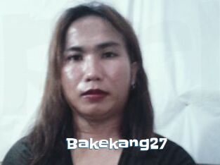 Bakekang27