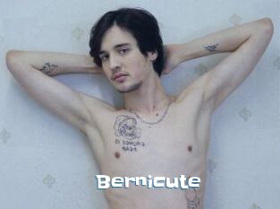 Bernicute