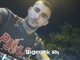 Bigcock_sh