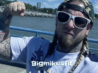 Bigmikesfit