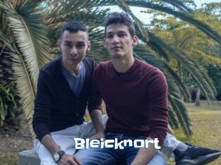 Bleicknort