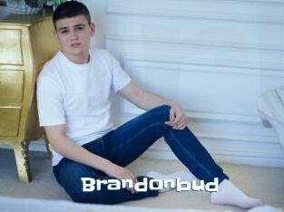 Brandonbud