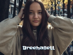 Breehallett