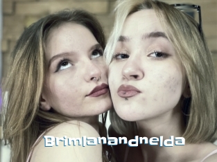 Brimlanandnelda