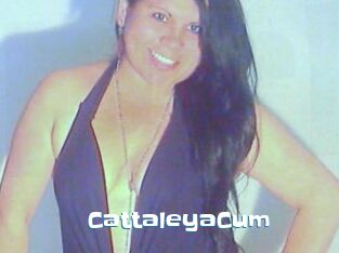 CattaleyaCum