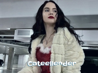 Cateellender