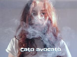 Cato_avocato