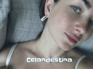 Cclandestina