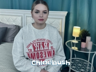 Chloebush