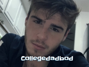 Collegedadbod