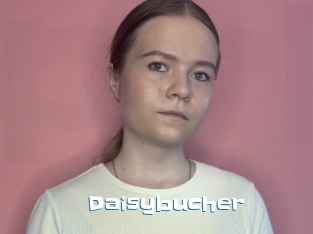 Daisybucher