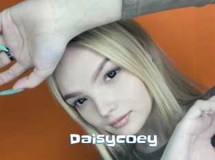 Daisycoey