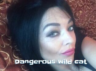 Dangerous_wild_cat