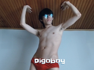 Digoboy