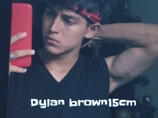 Dylan_brown15cm