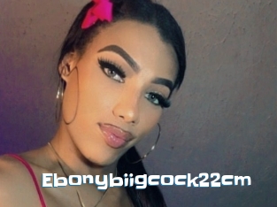 Ebonybiigcock22cm