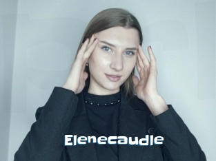 Elenecaudle