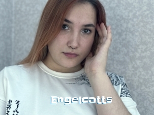 Engelcatts