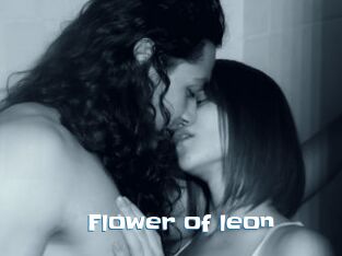 Flower_of_leon