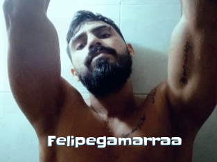 Felipegamarraa