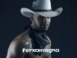 Ferxomagno