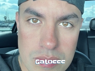 Gatoccc