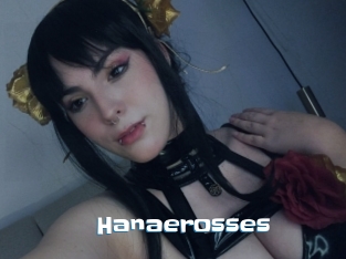 Hanaerosses