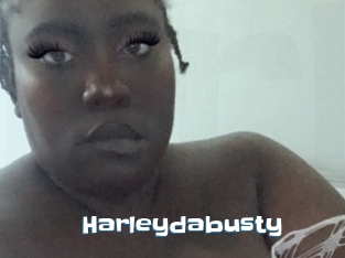 Harleydabusty