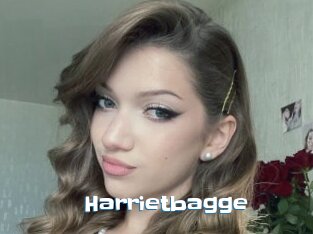 Harrietbagge