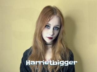 Harrietbigger