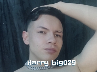 Harry_big029