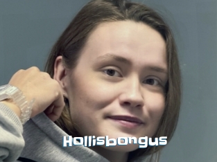 Hollisbongus