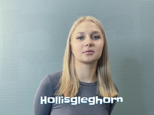 Hollisgleghorn