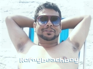 Hornybeachboy